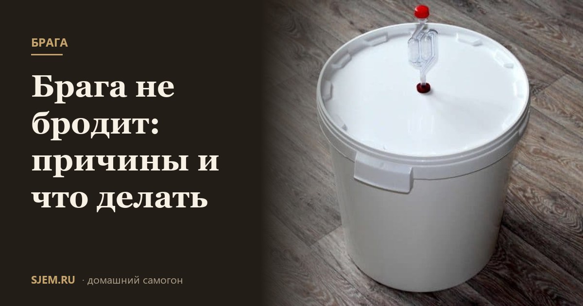Брага не бродит: причины и что делать